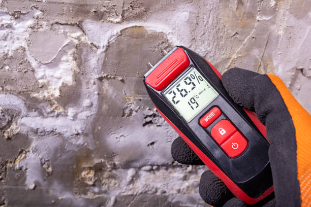 Best Emergency Mold Removal  in West Peoria, IL