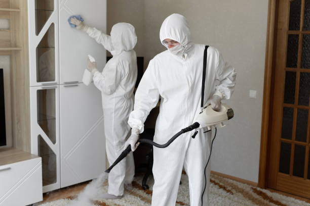 Best Certified Mold Removal  in West Peoria, IL