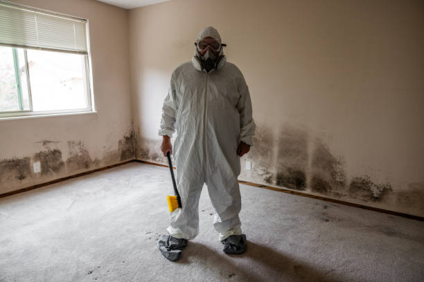 Best Residential Mold Removal  in West Peoria, IL
